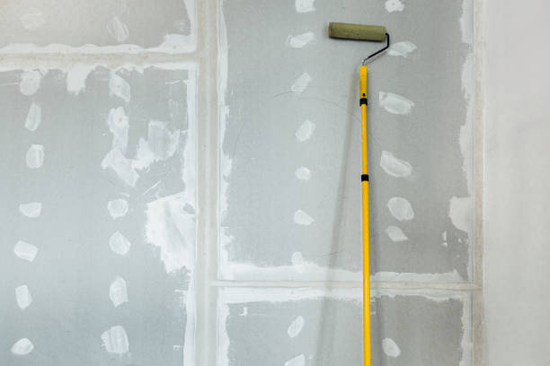 Best Biohazard Mold Removal  in Briarcliff Manor, NY