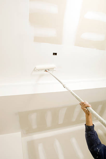Best Emergency Mold Remediation  in Briarcliff Manor, NY