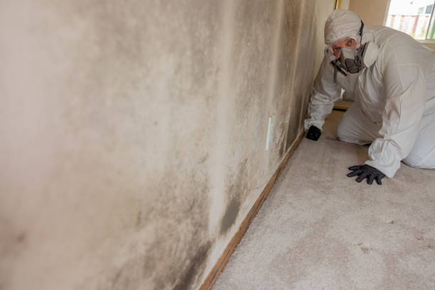 Best HVAC Mold Inspection and Cleaning  in Briarcliff Manor, NY