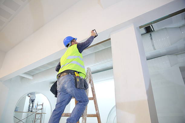 Best Real Estate Mold Inspection  in Briarcliff Manor, NY